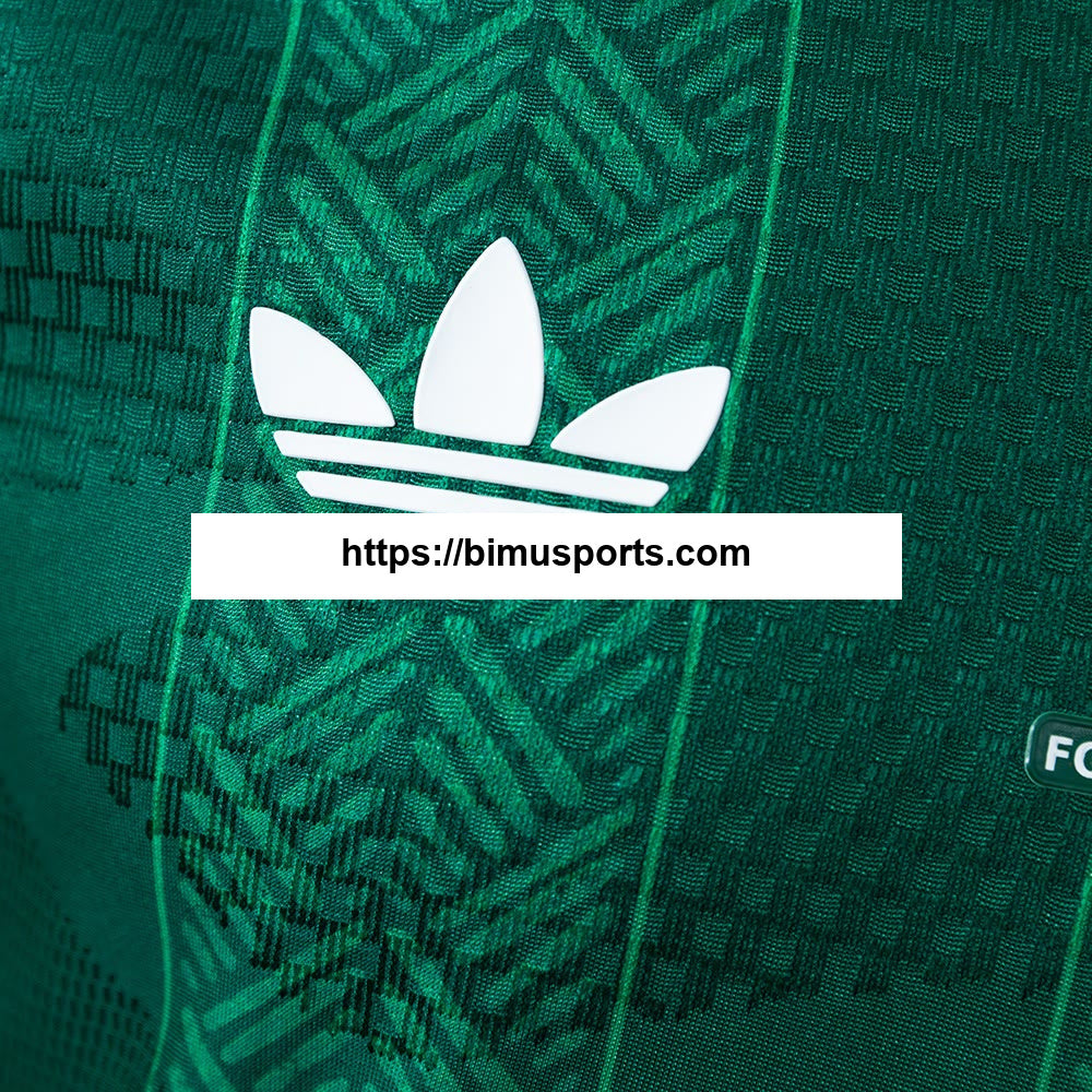 Camisola de jogador Alternativo da África do Sul 2026