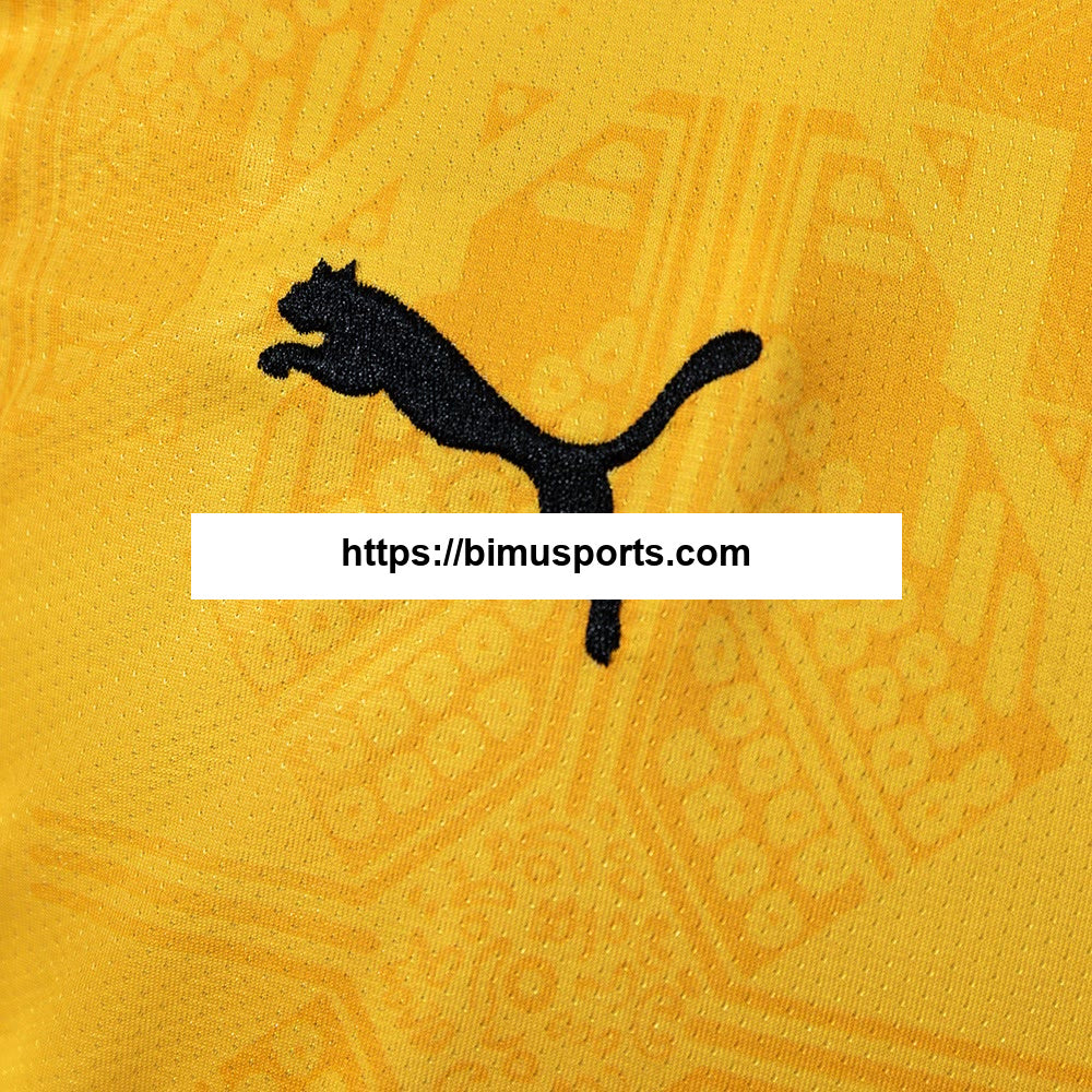 Camisola Alternativa Gana 2026
