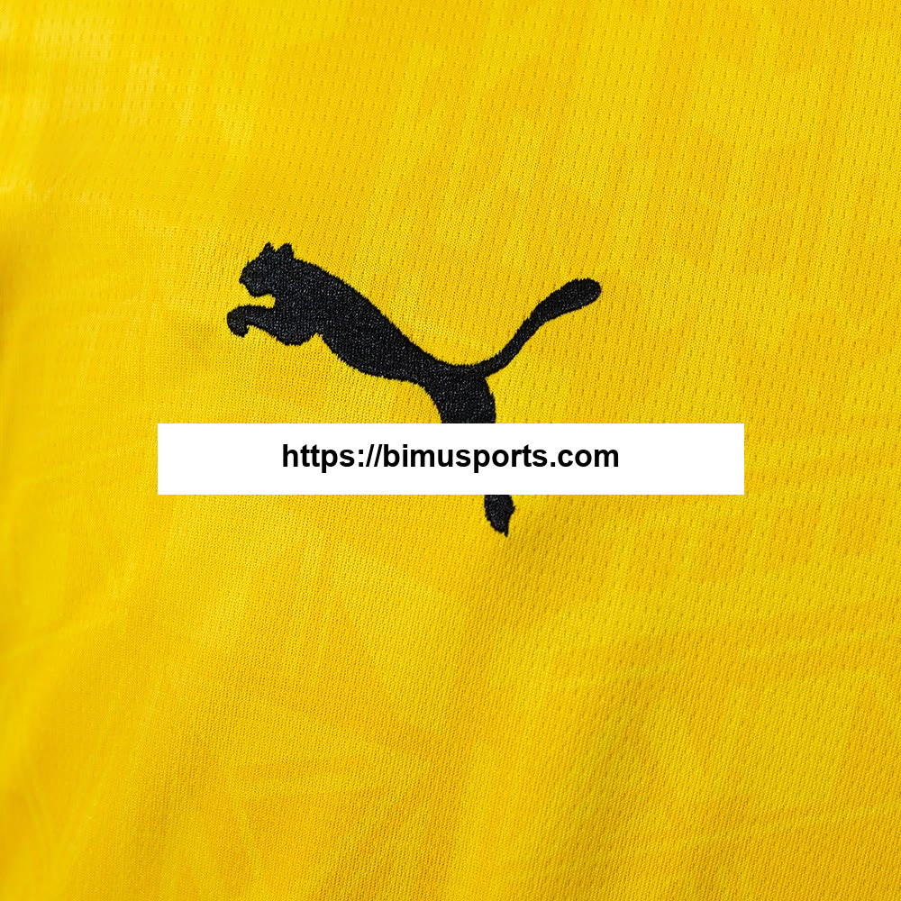 Camisola Dortmund 26/27 Principal