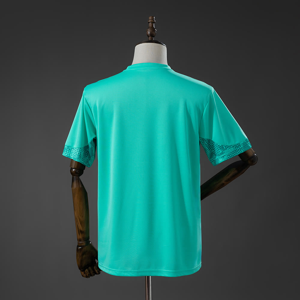 Camisola Palmeiras 26/27 Training