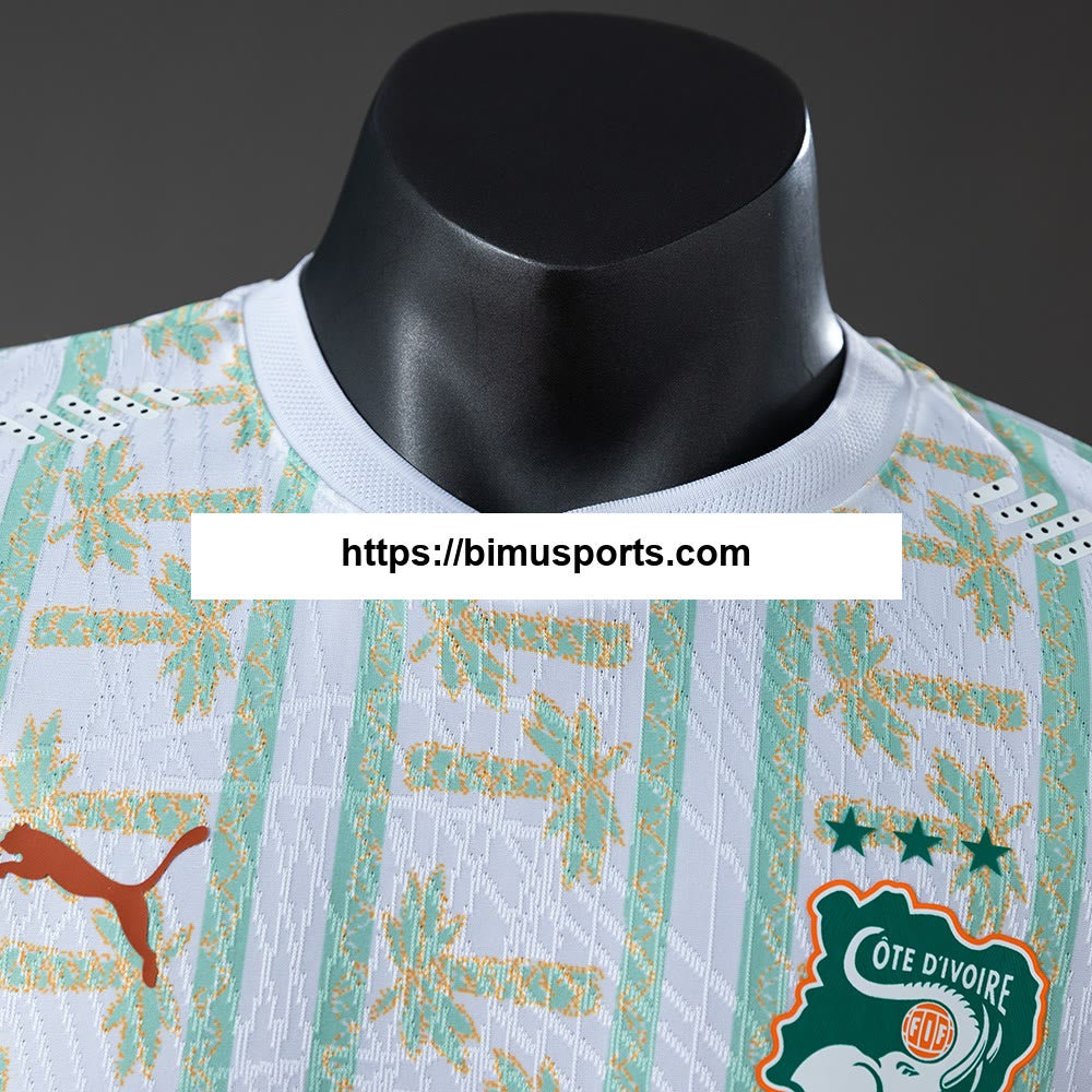 Camisola Costa do Marfim 20/26 Alternativo Player Version