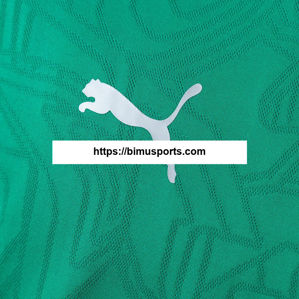 Fluminense 26/27 Treinamento Verde