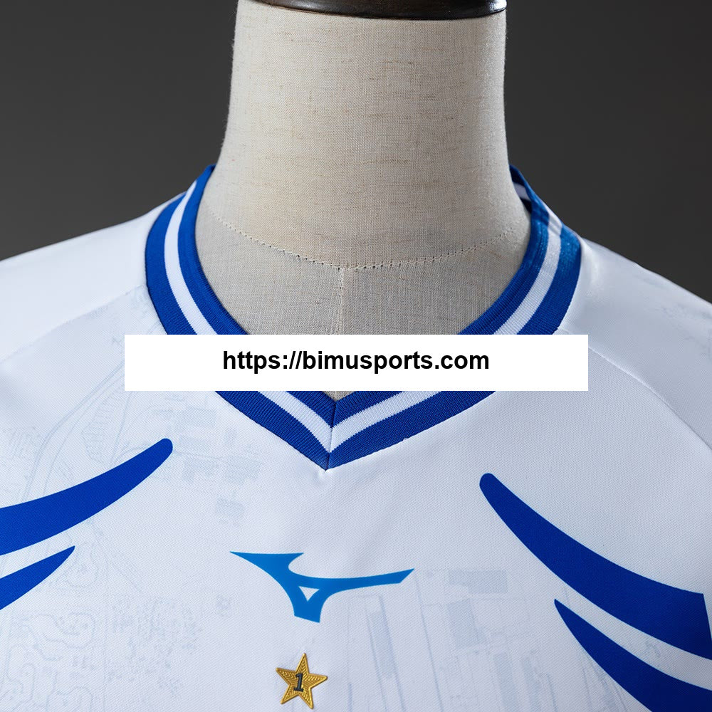 Camisola alternativa Hansa Rostock 25/26