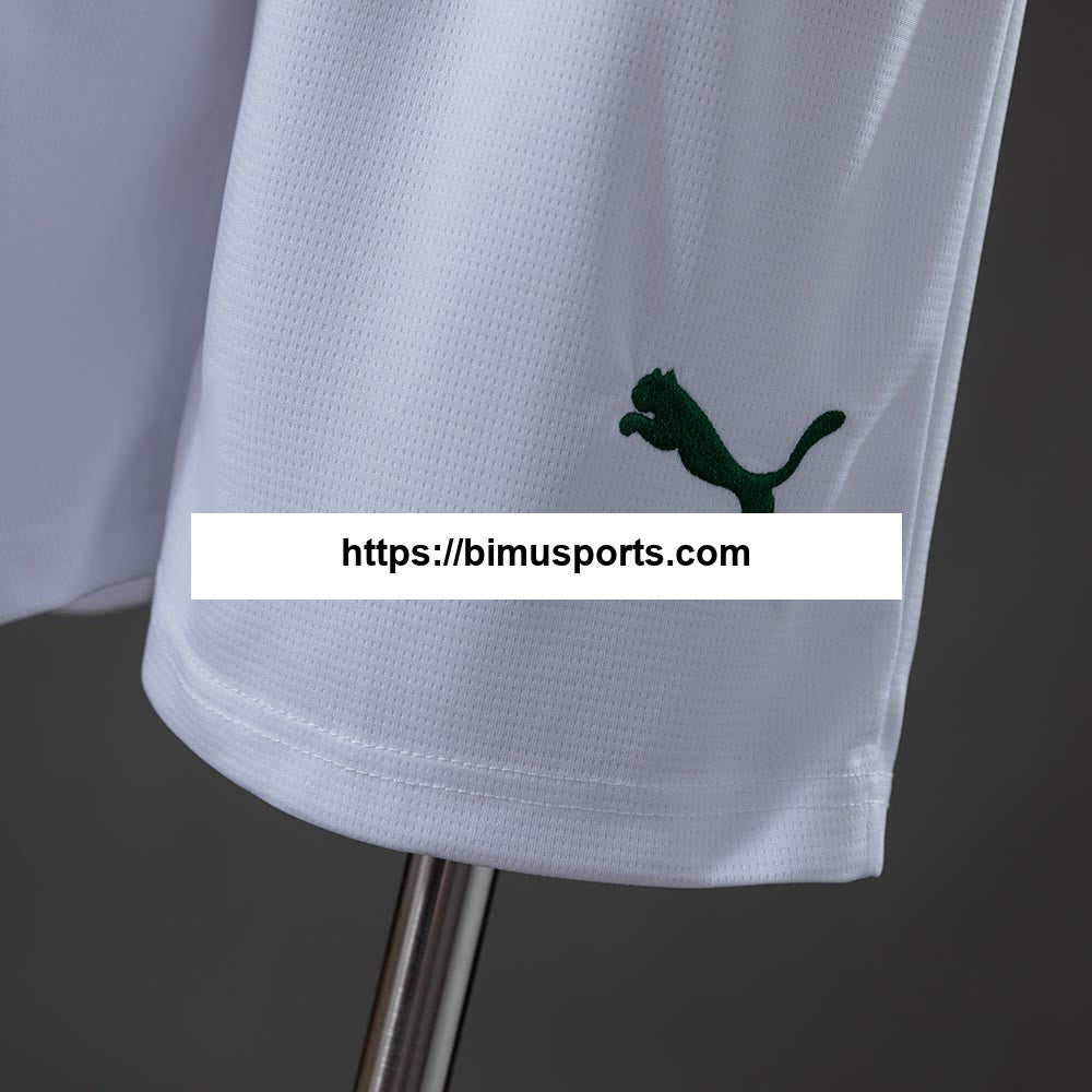 Palmeiras 26/27 Principal Shorts