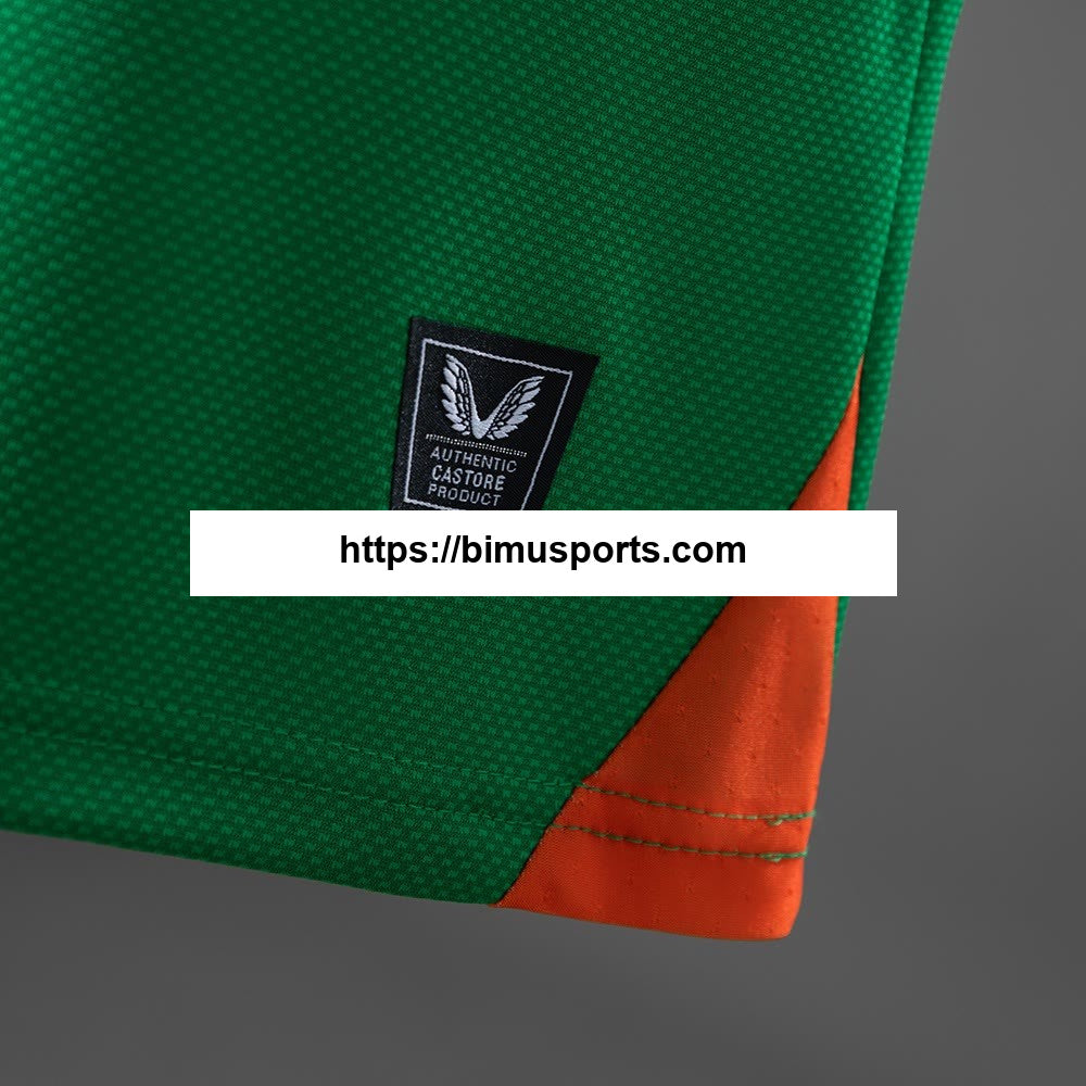 Camisola Irlanda 25/26 Principal Player Versão