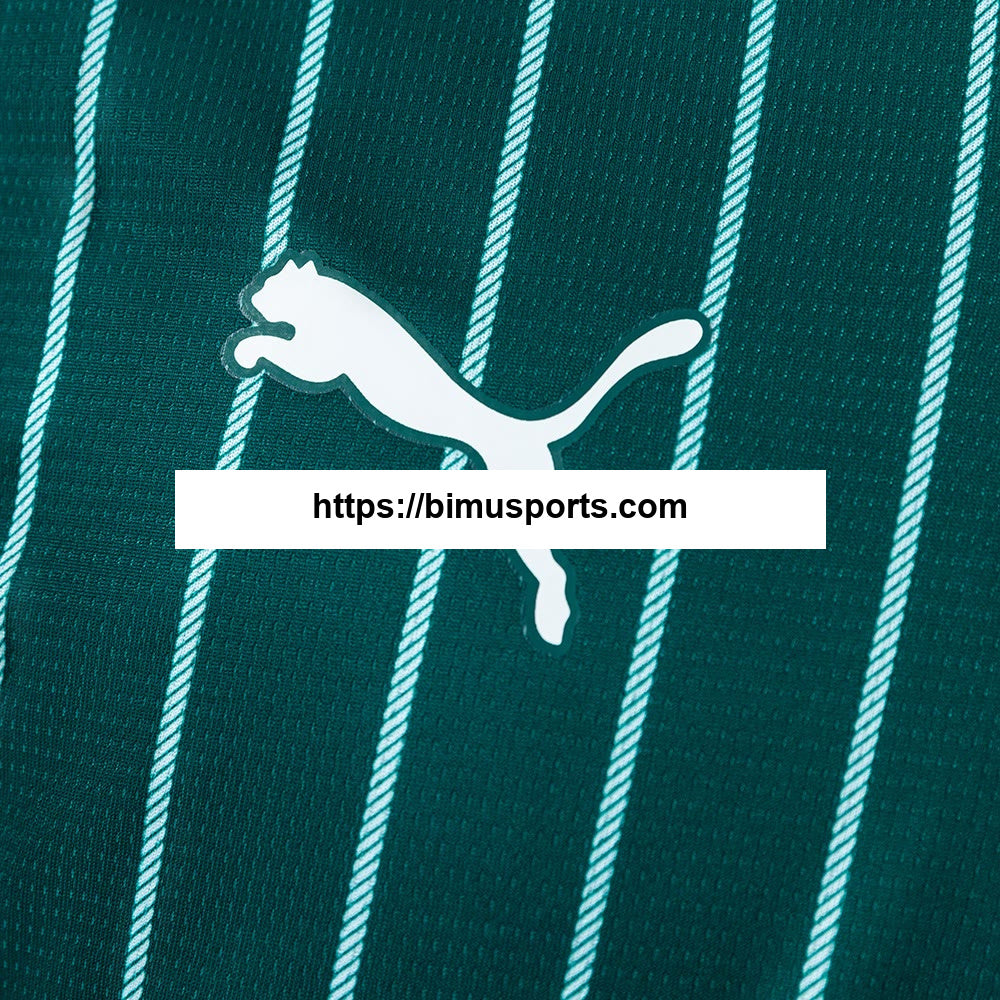 Camisola Plymouth Argyle 26/27 Principal