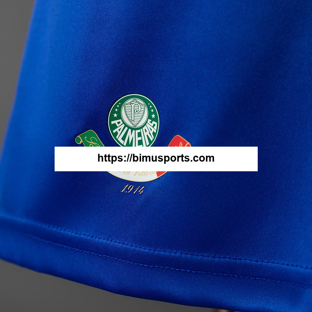 Camisola retrô do Palmeiras 09/10 Terceiro Alternativo