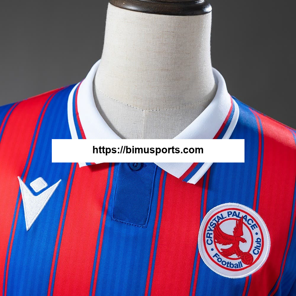 Camisola de edição limitada Crystal Palace 25/26