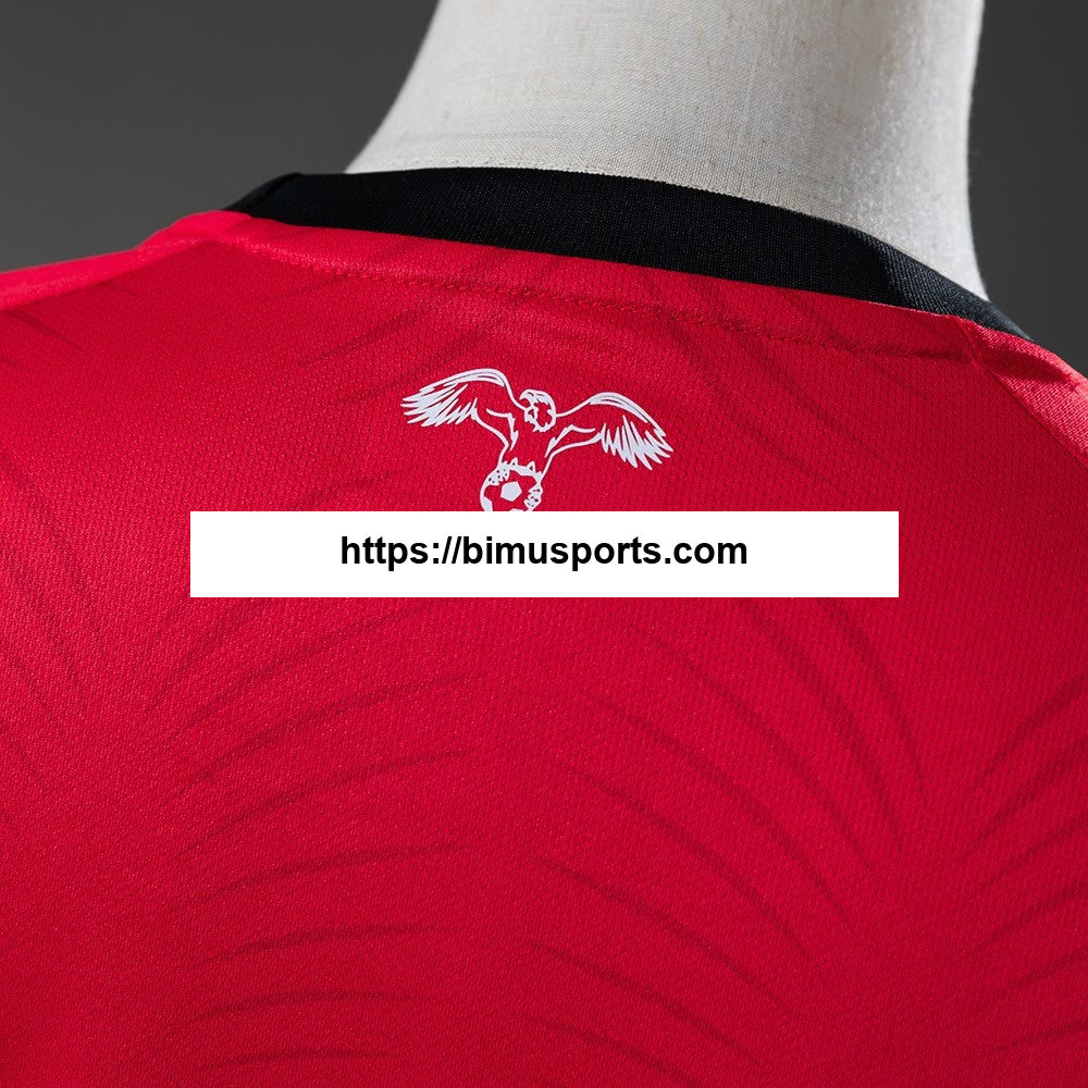 Camisola Jordan 20/26 Alternativo