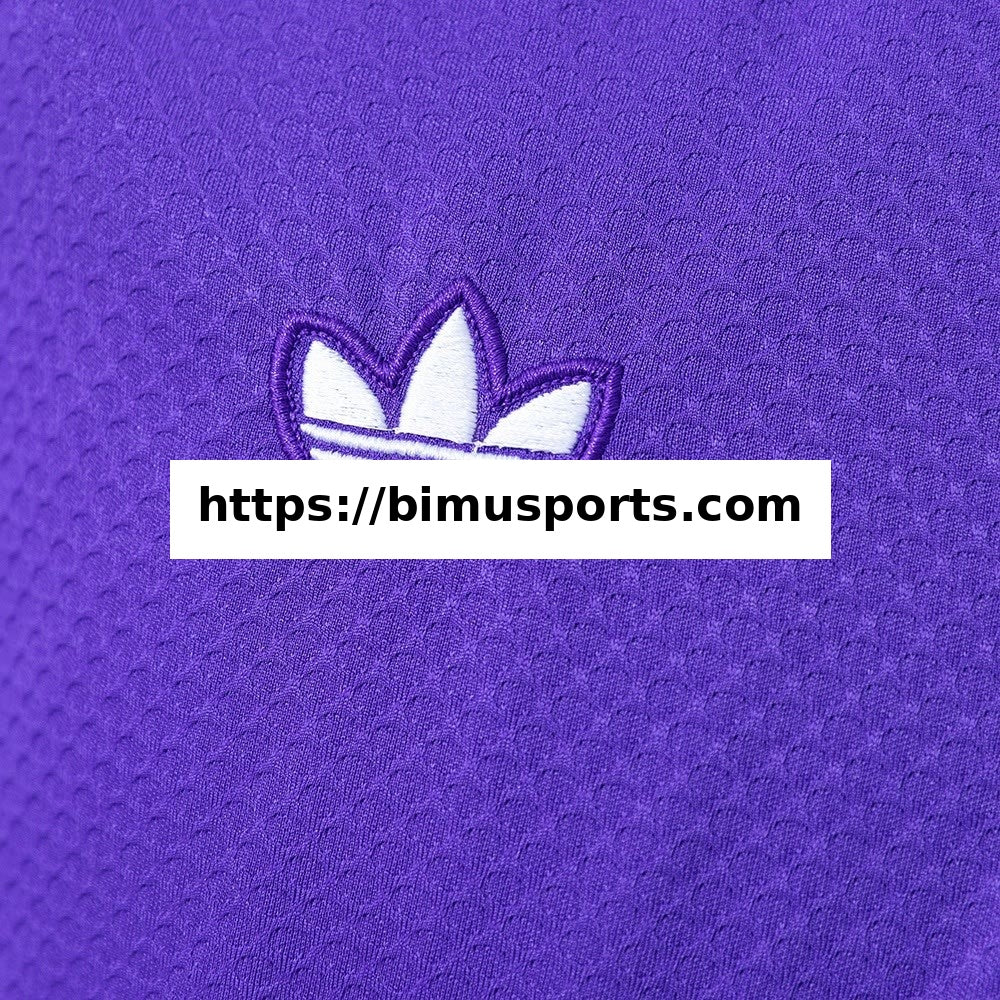 Camisola Real Madrid 25/26 POLO - Roxo