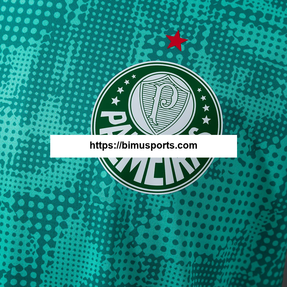 Camisola Palmeiras 26/27 Training