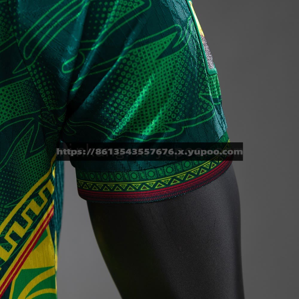 Camisola Mali 25/26 Alternativo Player Version