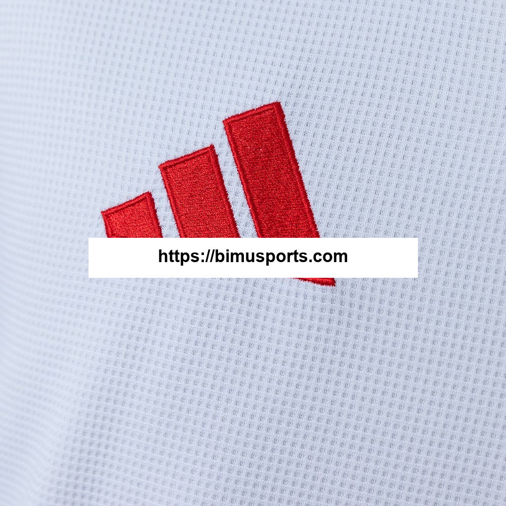 Camisola Internacional 26/27 Alternativo Manga Comprida