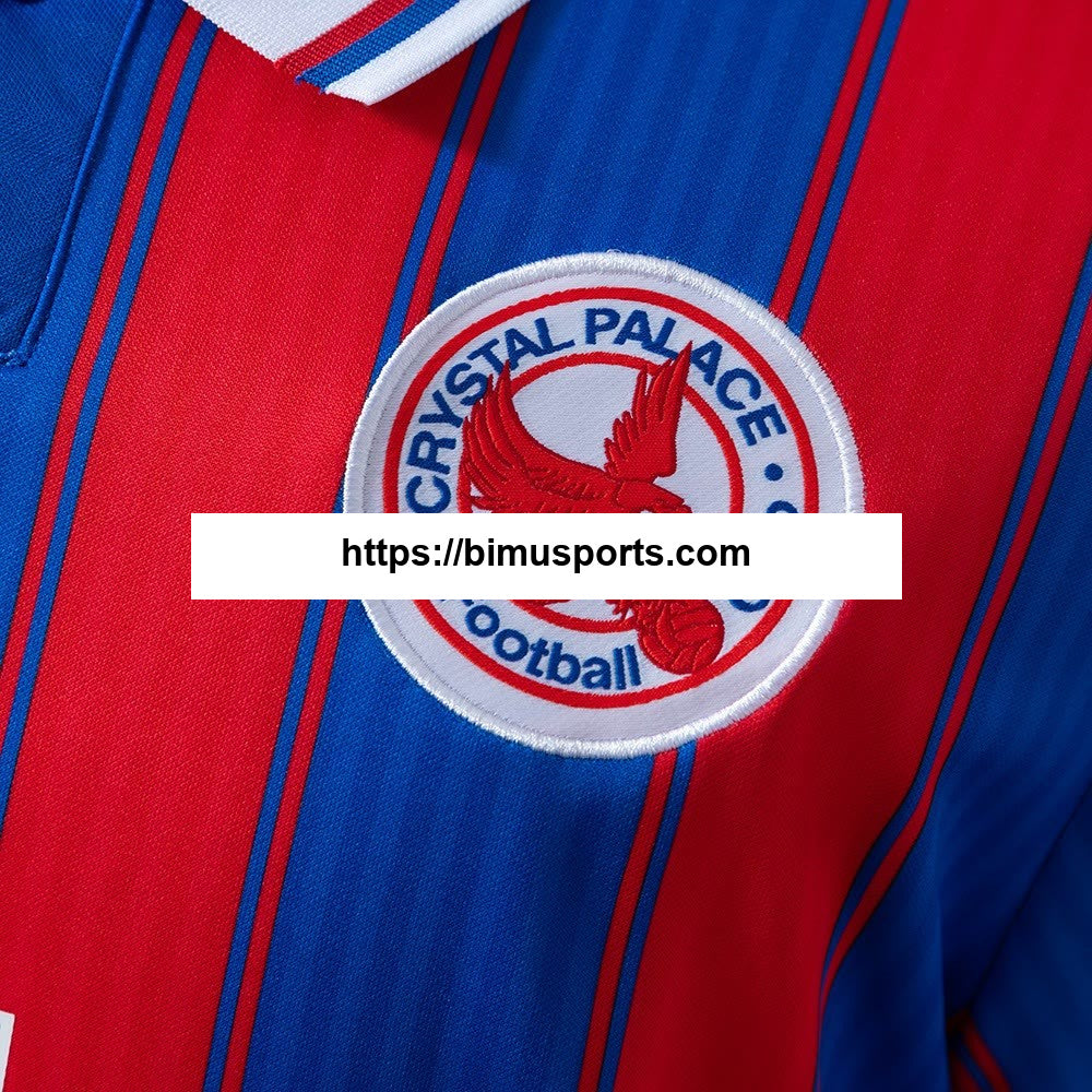 Camisola de edição limitada Crystal Palace 25/26
