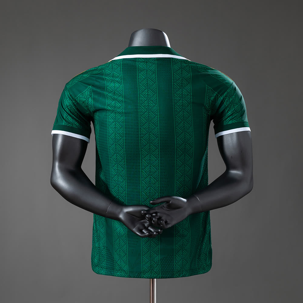 Camisola de jogador Alternativo da África do Sul 2026