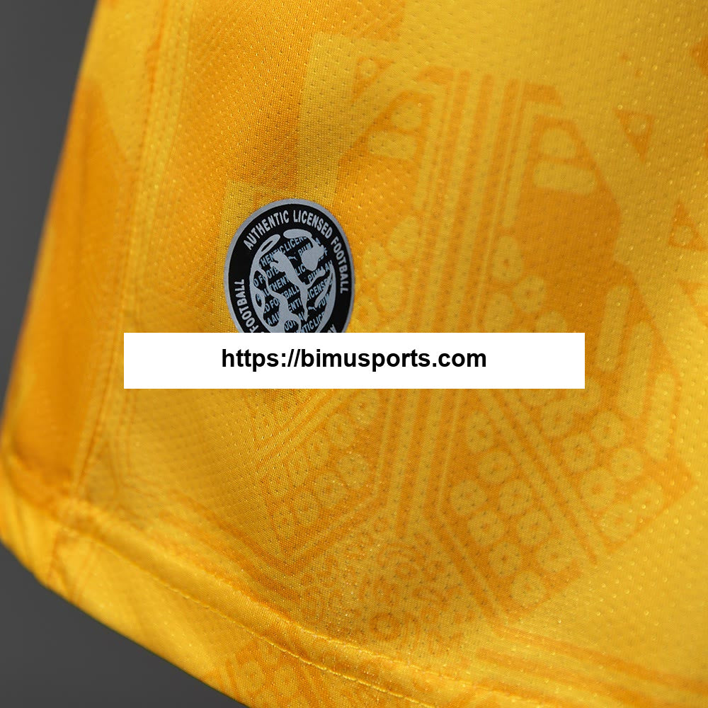 Camisola Alternativa Gana 2026