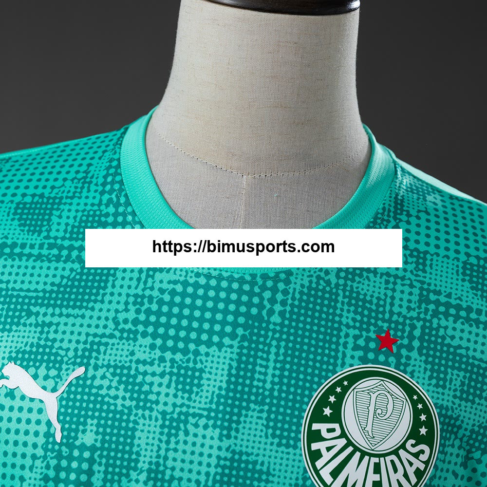 Camisola Palmeiras 26/27 Training