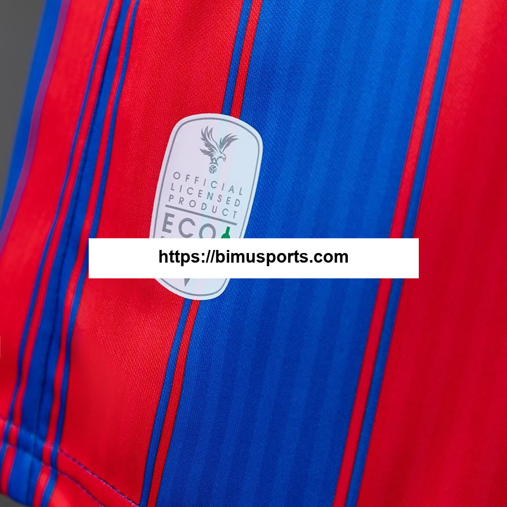 Camisola de edição limitada Crystal Palace 25/26