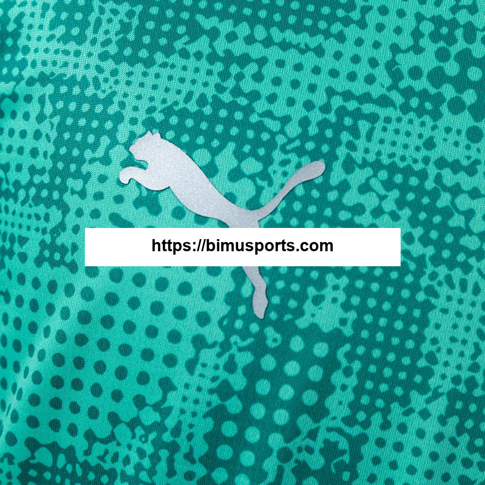 Camisola Palmeiras 26/27 Training