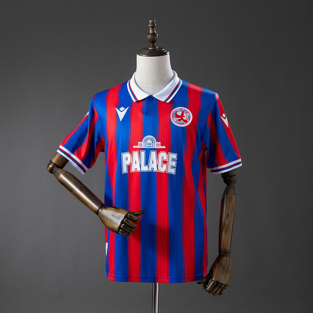 Camisola de edição limitada Crystal Palace 25/26